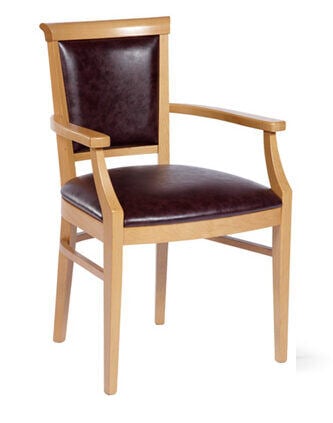 Rosa Arm Chair featured image