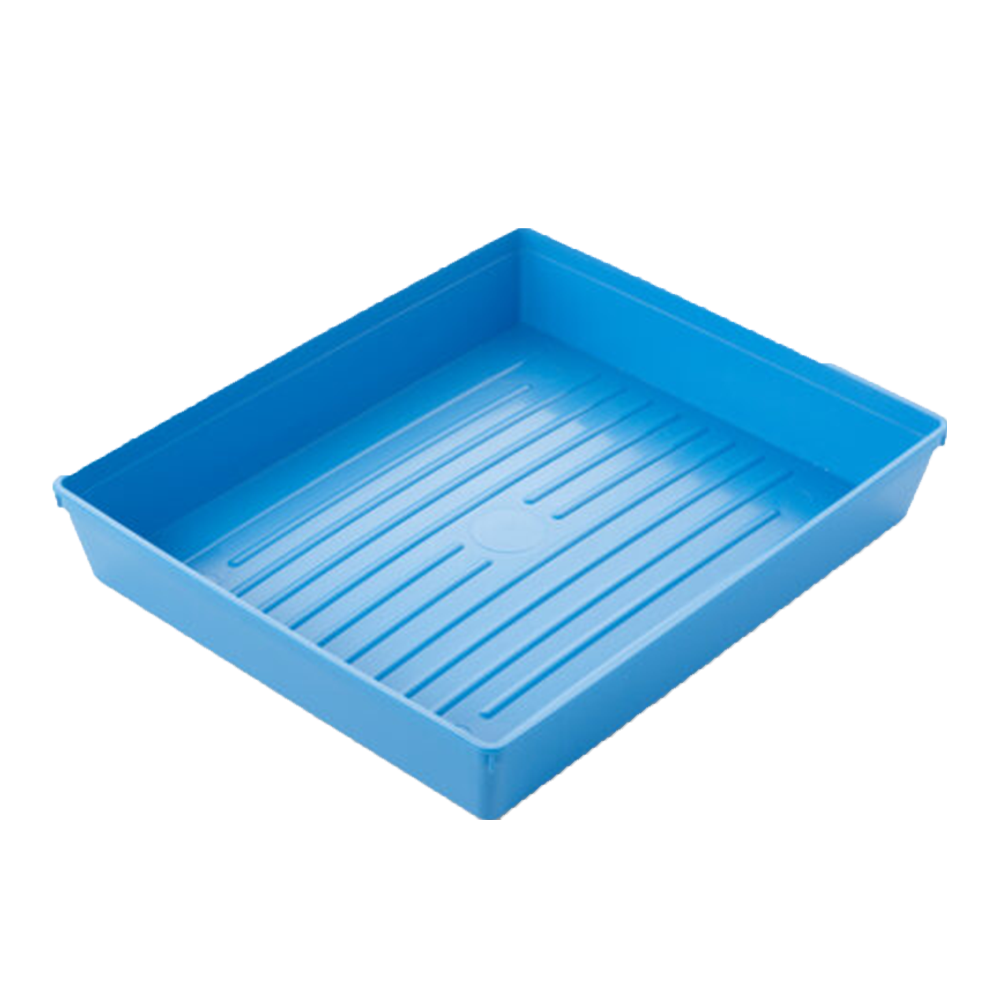 Blue Instrument Tray featured image