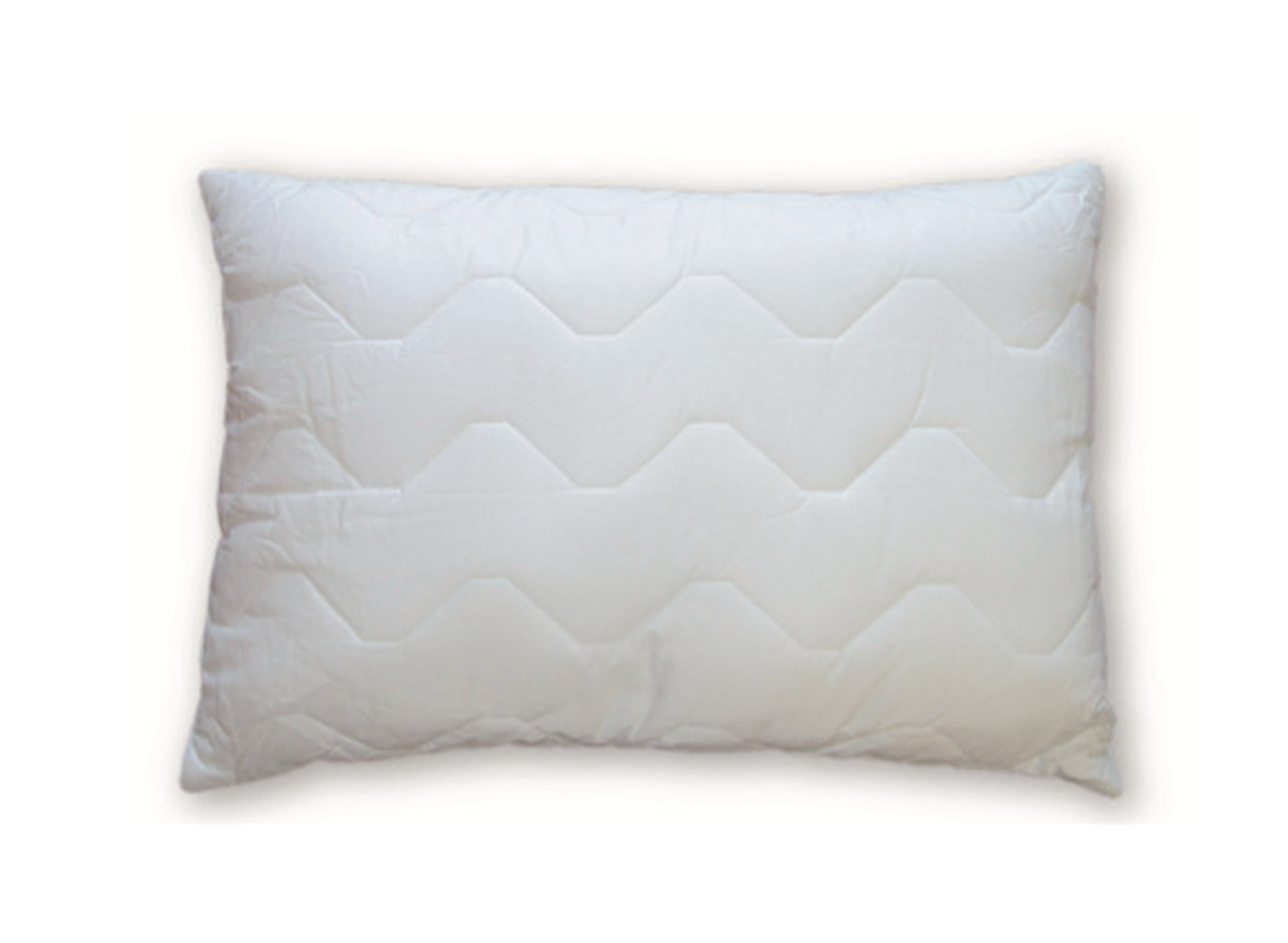 Luxury Washable Pillow featured image