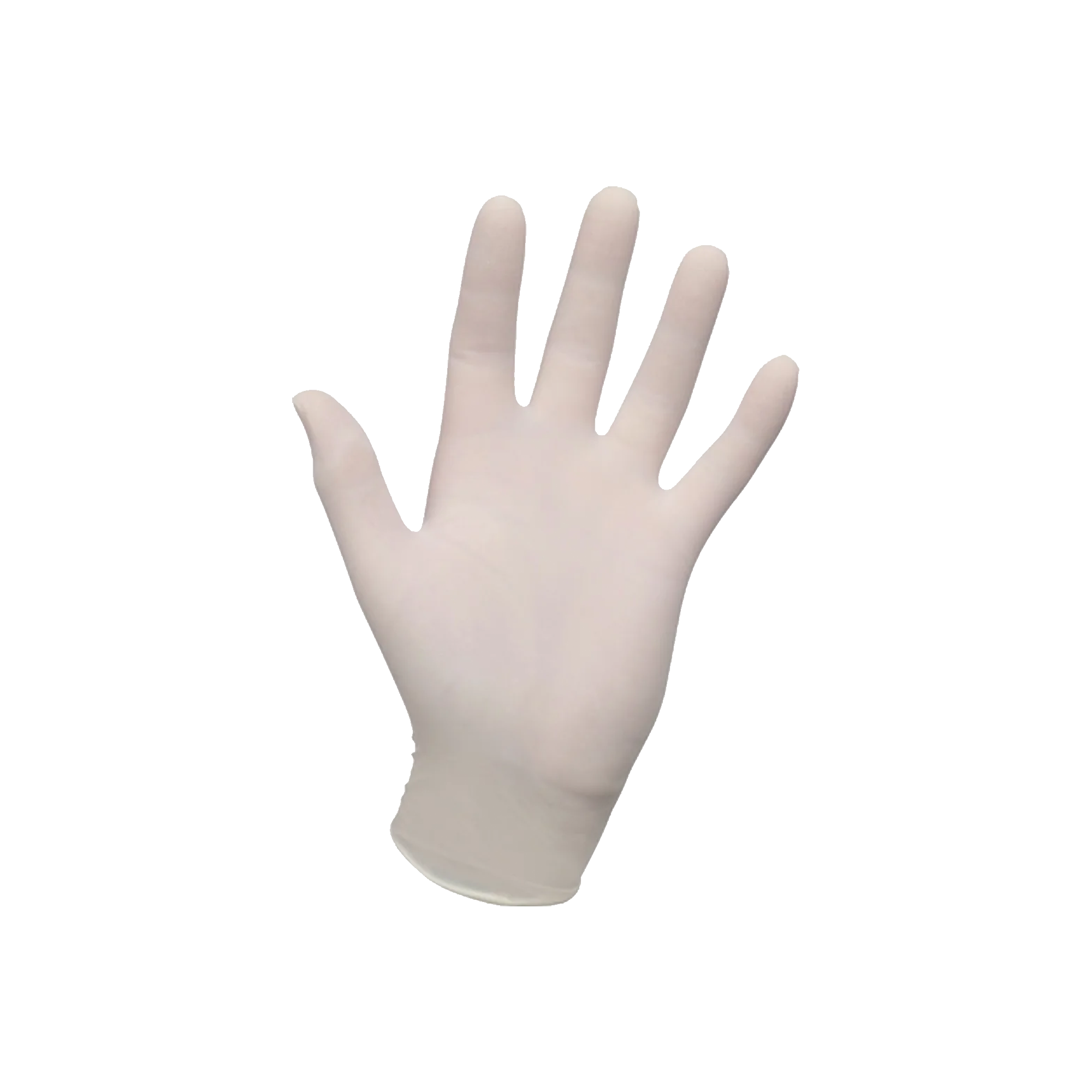 Premier Powder Free Latex Gloves featured image